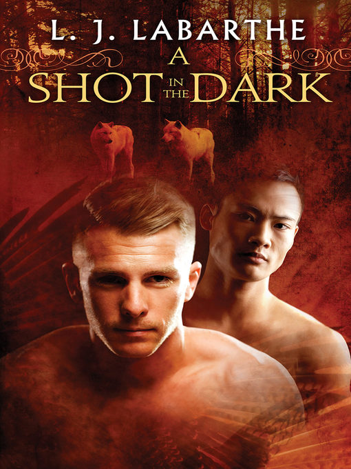Cover image for A Shot in the Dark